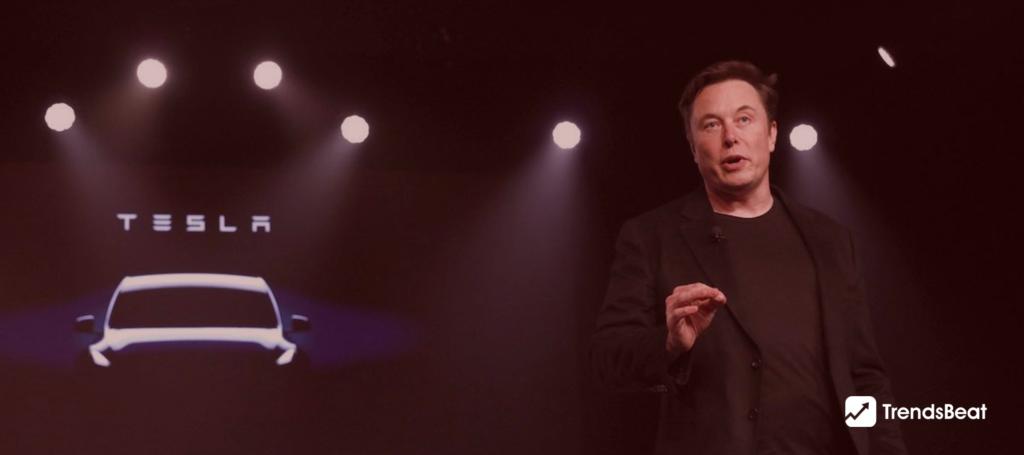 Elon Musk Announces Tesla's Shocking Advertising Strategy!