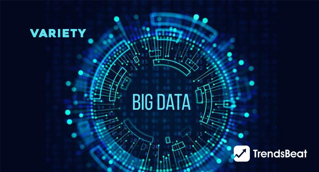 Value- Another Significant 5 Vs of Big Data